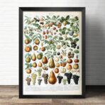 poster frutto