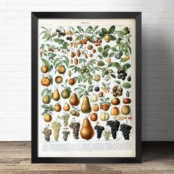 poster frutto