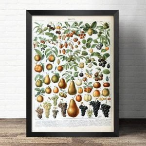 poster frutto