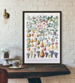 poster di frutta vintage 1