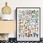 poster di frutta vintage 1