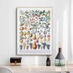 poster di frutta vintage 1
