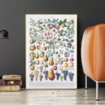 poster di frutta vintage 1