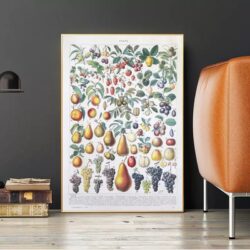 poster di frutta vintage 1