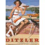 poster vintage pin up 1