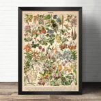 poster di fiori di campo