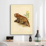 poster volpe vintage
