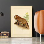 poster volpe vintage