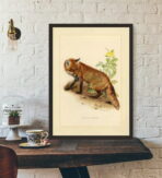 poster volpe vintage