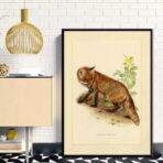 poster volpe vintage