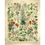 poster fiori vintage