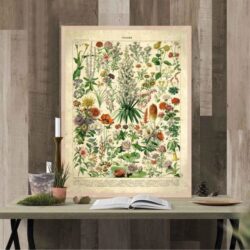 poster fiori vintage