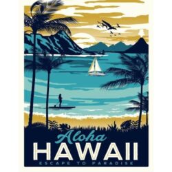 poster vintage delle hawaii 2