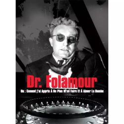 dr foolamour poster 2