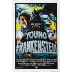 poster frankenstein junior