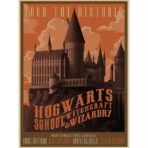 poster vintage di harry potter 2