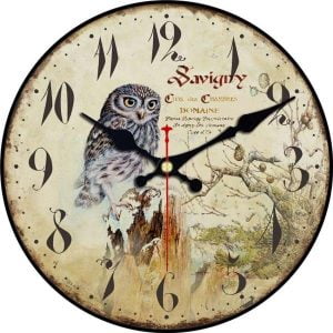 orologio da parete con gufo 1