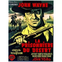 il poster del prigioniero del deserto