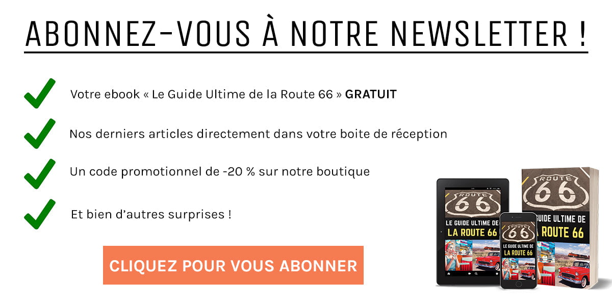 qui est dita von teese newsletter planète vintage