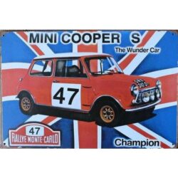mini cooper con piastra metallica