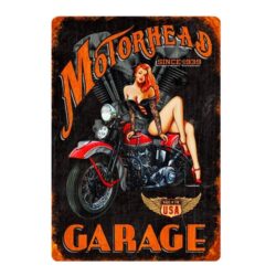 piastra metallica del motore