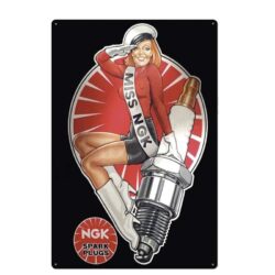 piastra metallica vintage miss ngk