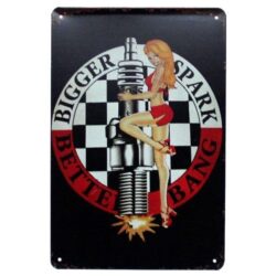 targa pin up