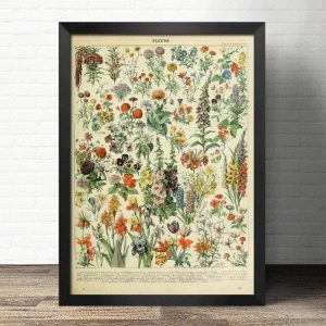 poster fiori vintage 1