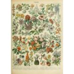 poster fiori vintage 2