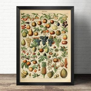 poster di frutta vintage