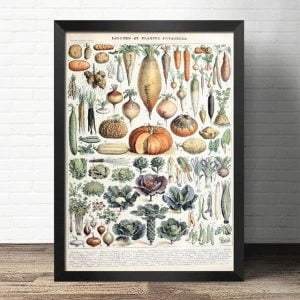 vecchio poster di verdure