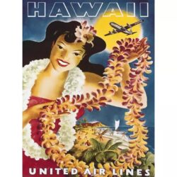 poster vintage delle hawaii