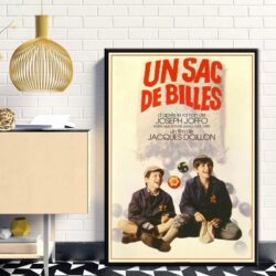 locandina del film un sacco di biglie