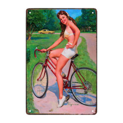 bicicletta pin up con piastra metallica